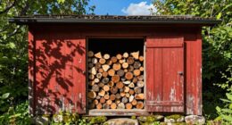 top firewood shed picks