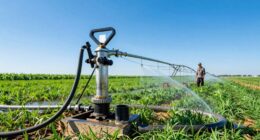 top gas water pumps 2026