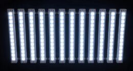 top led grow lights 2026