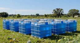 top rainwater storage totes