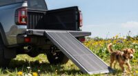 top truck pet ramp options