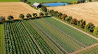 annual small farm land review