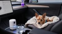 calm pets during emergencies