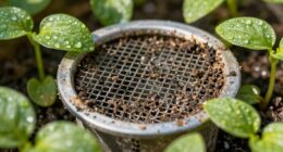 clean filters ensure irrigation efficiency
