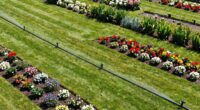 designing effective irrigation layout