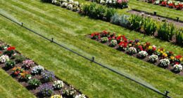 designing effective irrigation layout