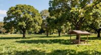designing effective shade solutions