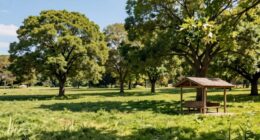 designing effective shade solutions