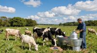 enhanced mineral program benefits