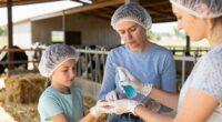 farm visitor biosecurity guidelines