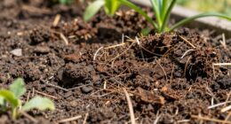 incorrect mulching practices hinder