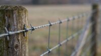 inspect fence tension regularly