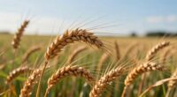 optimal harvest timing importance