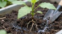 overwatering weakens roots