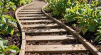 pathways improve soil access