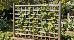 plan trellis before growth