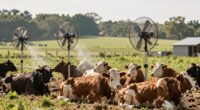 pointing fans reduces cooling efficiency