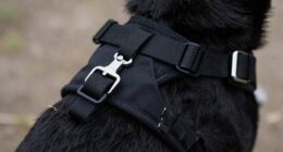 proper inspection prevents escapes