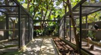 shade drainage predators