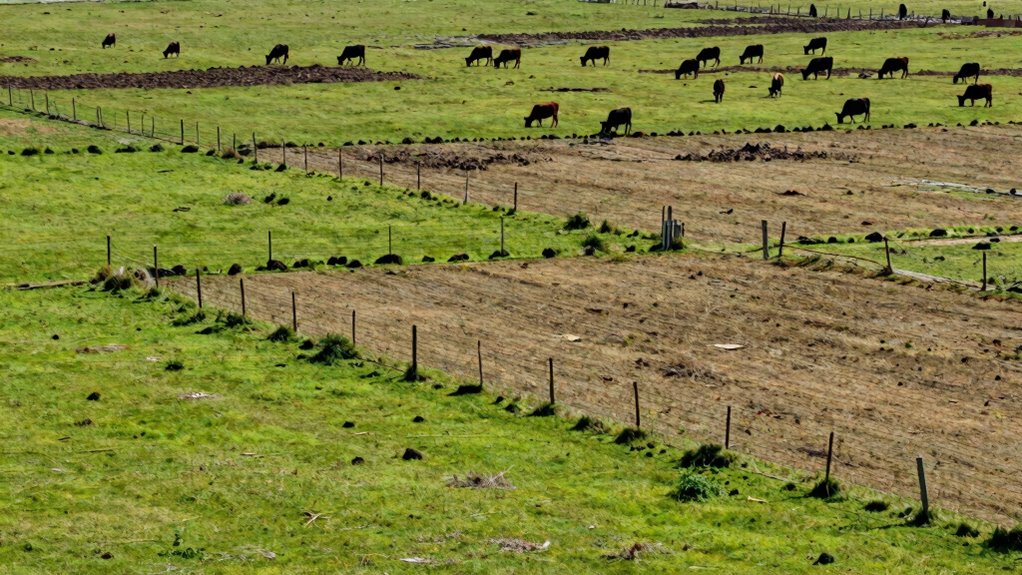 soil health and water management