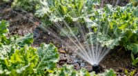 water waste due to spacing
