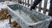 winter livestock water mistakes