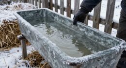 winter livestock water mistakes