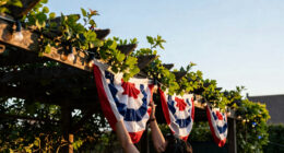 12 Best Patriotic Outdoor String Lights in 2026