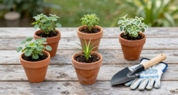 13 Best Heat Tolerant Perennials in 2026