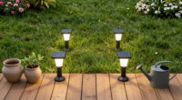 14 Best Solar-Powered Garden Lights in 2026