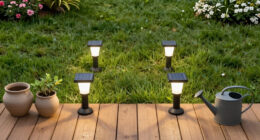 14 Best Solar-Powered Garden Lights in 2026