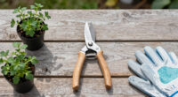12 Best Pruning Shears in 2026
