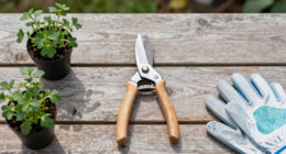 12 Best Pruning Shears in 2026