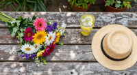 13 Best Summer Blooming Flowers in 2026