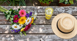 13 Best Summer Blooming Flowers in 2026