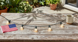 14 Best Patriotic Outdoor String Lights in 2026