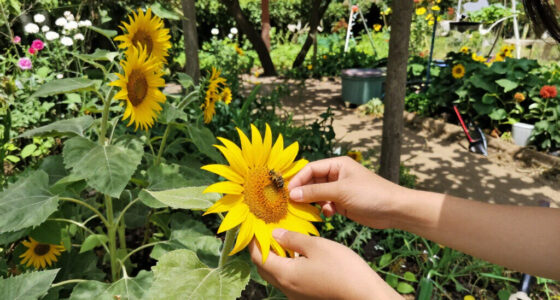 15 Best Flowers for Pollinators in 2026