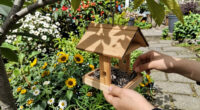 6 Best Bird Feeders in 2026