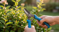 The 6 Best Garden Pruners We’ve Tested For Every Pruning Job