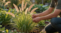10 Best Easy-to-Grow Ornamental Grasses That Add A Professional Polish To Your Backyard