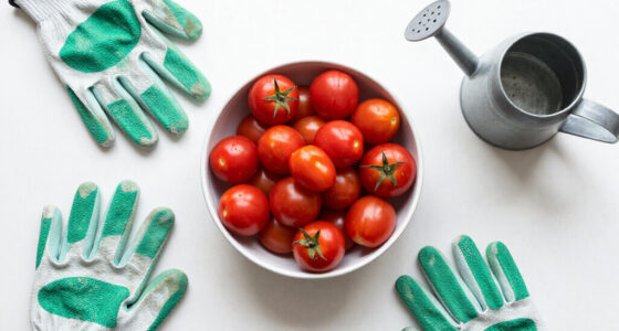 8 Things to Do When You Have an Explosion of Cherry Tomatoes