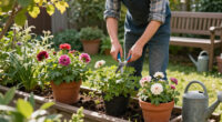 Cut Back These 8 Tired Perennials Before August Ends – And You’ll Get An Extra Flush Of Blooms This Year