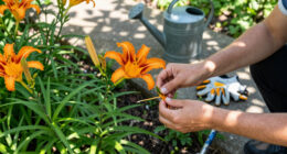How To Get A Second Flush Of Flowers From Your Daylilies – Plus, This Easy Trick Keeps Plants Looking Fresh