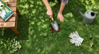 The Lawn Repair Buys To Order Now To Help Your Frazzled Grass Recover – Before Everyone Starts Fixing Their Grass In Fall