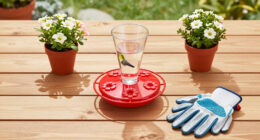 This $20 Garden Item Will Help Hummingbirds Survive The Great Migration