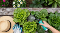 This Weird Tool Is A Garden Game Changer – It Prevents Pests And Diseases In Your Yard (And Will Save Your Back!)