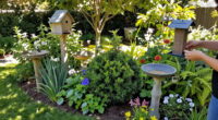 Turn Your Yard Into A Migrating Bird's Favorite Pit Stop – Add These 4 Elements To Your Garden To Help Them On Their Journey