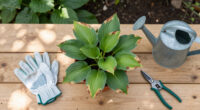 Why Are My Hosta Leaves Turning Brown? How To Read The Damage And Fix It Fast