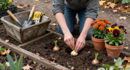 10 Best Flowers to Plant in October in 2026
