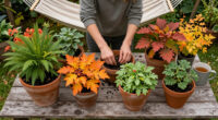 10 Foolproof Plants That Are Far Cheaper In Fall – Fill Up Your Yard For Years Of Beautiful Blooms